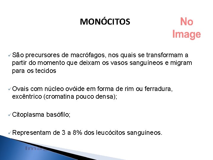 MONÓCITOS ü São precursores de macrófagos, nos quais se transformam a partir do momento