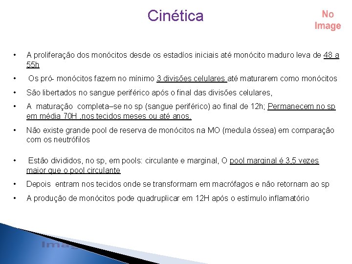 Cinética • A proliferação dos monócitos desde os estadíos iniciais até monócito maduro leva Cinética • A proliferação dos monócitos desde os estadíos iniciais até monócito maduro leva