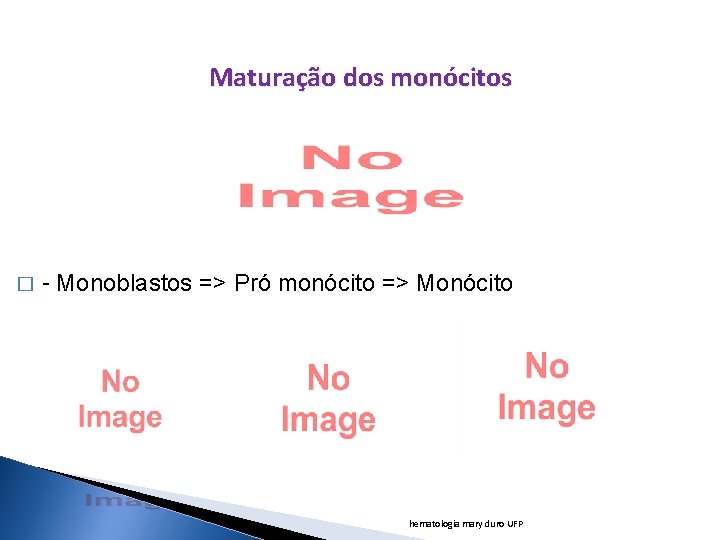 Maturação dos monócitos � - Monoblastos => Pró monócito => Monócito hematologia mary duro Maturação dos monócitos � - Monoblastos => Pró monócito => Monócito hematologia mary duro