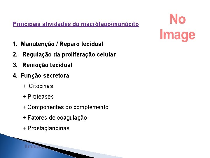 Principais atividades do macrófago/monócito 1. Manutenção / Reparo tecidual 2. Regulação da proliferação celular Principais atividades do macrófago/monócito 1. Manutenção / Reparo tecidual 2. Regulação da proliferação celular