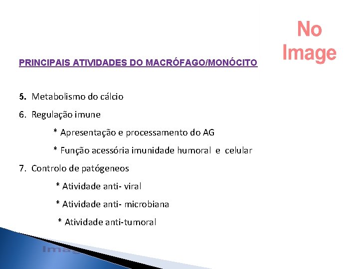 PRINCIPAIS ATIVIDADES DO MACRÓFAGO/MONÓCITO 5. Metabolismo do cálcio 6. Regulação imune * Apresentação e PRINCIPAIS ATIVIDADES DO MACRÓFAGO/MONÓCITO 5. Metabolismo do cálcio 6. Regulação imune * Apresentação e