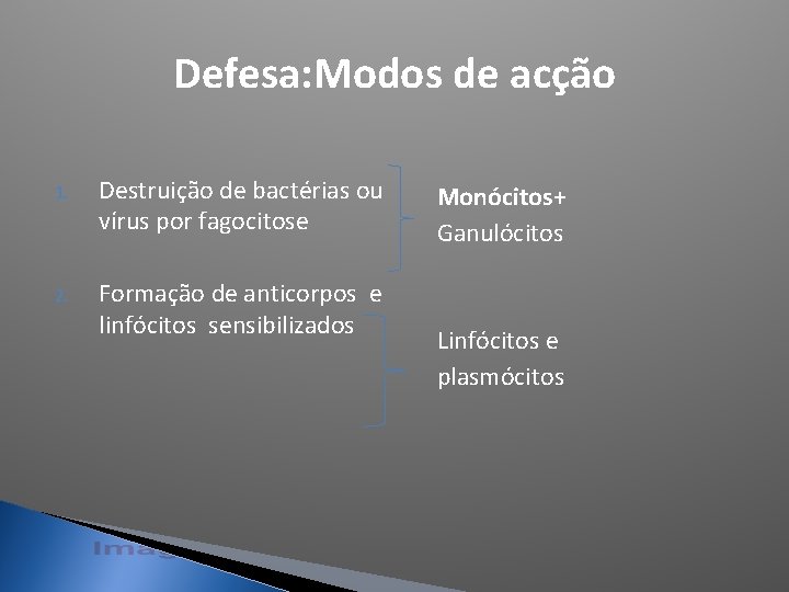 Defesa: Modos de acção 1. Destruição de bactérias ou vírus por fagocitose 2. Formação