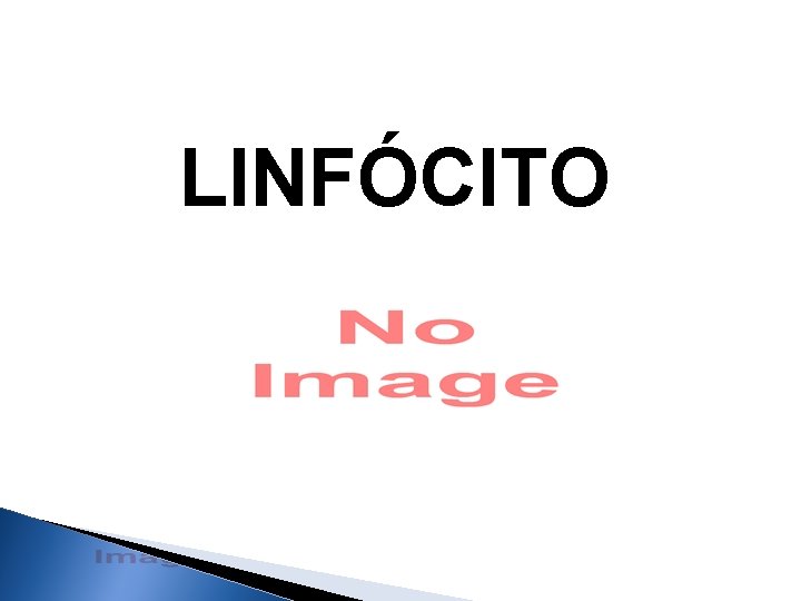 LINFÓCITO 