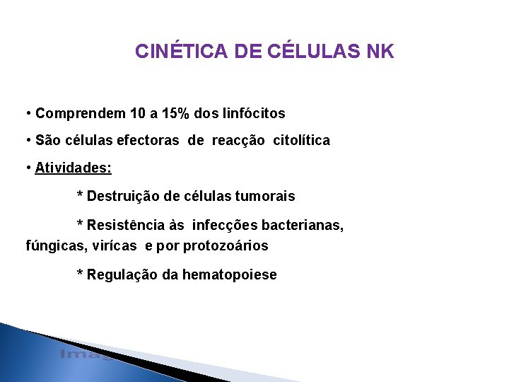 CINÉTICA DE CÉLULAS NK • Comprendem 10 a 15% dos linfócitos • São células CINÉTICA DE CÉLULAS NK • Comprendem 10 a 15% dos linfócitos • São células