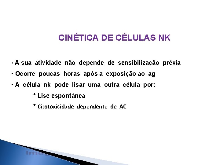 CINÉTICA DE CÉLULAS NK • A sua atividade não depende de sensibilização prévia •