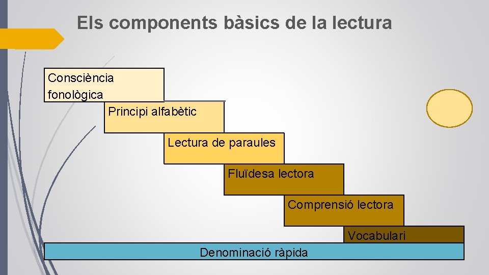 Els components bàsics de la lectura Consciència fonològica Principi alfabètic Lectura de paraules Fluïdesa