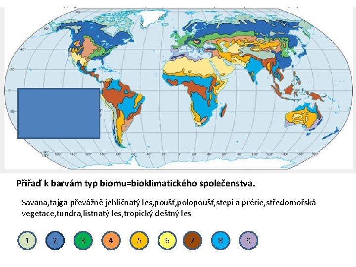 Přiřaď k barvám typ biomu=bioklimatického společenstva. Savana, tajga-převážně jehličnatý les, poušť, polopoušť, stepi a