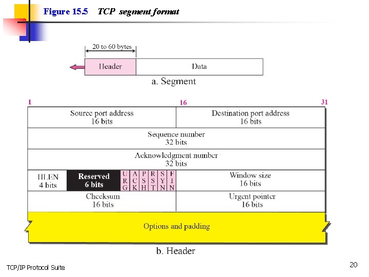 Figure 15. 5 TCP/IP Protocol Suite TCP segment format 20 