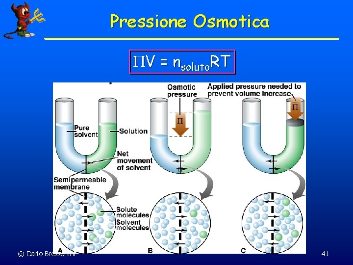 Pressione Osmotica PV = nsoluto. RT © Dario Bressanini 41 