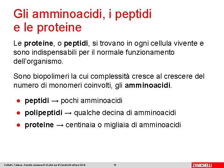Gli amminoacidi, i peptidi e le proteine Le proteine, o peptidi, si trovano in
