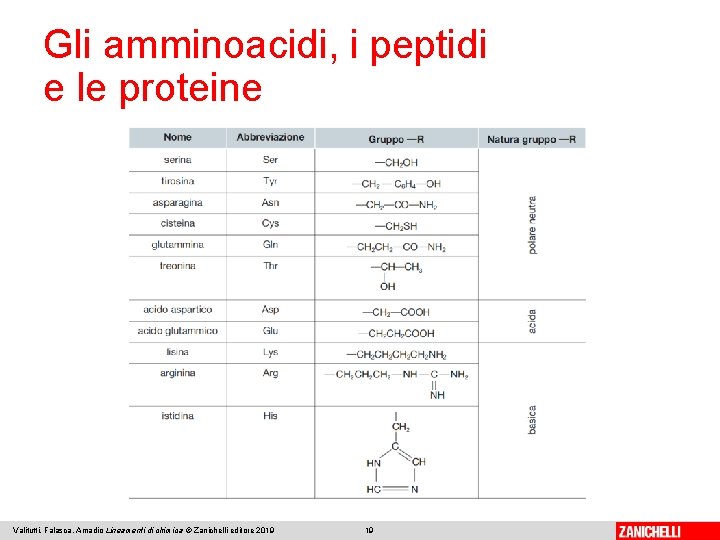 Gli amminoacidi, i peptidi e le proteine Valitutti, Falasca, Amadio Lineamenti di chimica ©