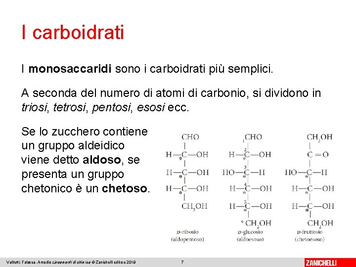 I carboidrati I monosaccaridi sono i carboidrati più semplici. A seconda del numero di
