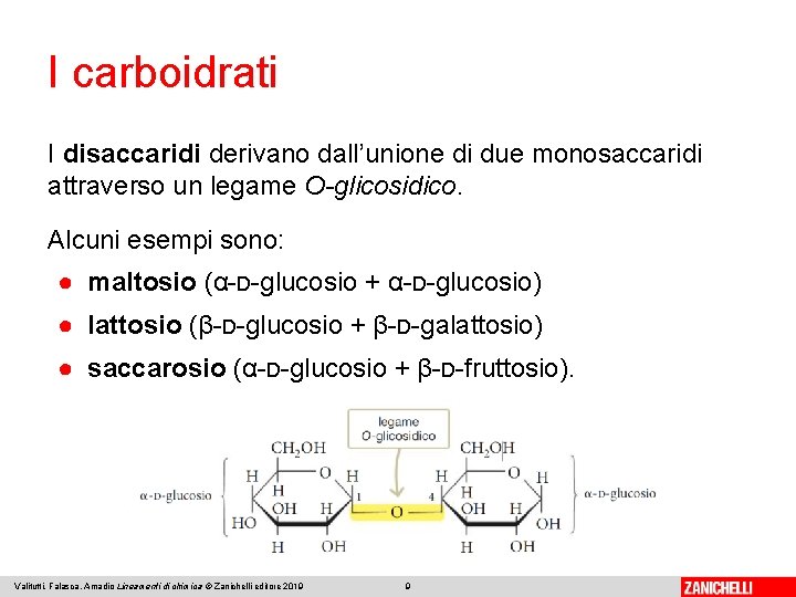 I carboidrati I disaccaridi derivano dall’unione di due monosaccaridi attraverso un legame O-glicosidico. Alcuni