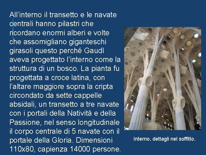 All’interno il transetto e le navate centrali hanno pilastri che ricordano enormi alberi e