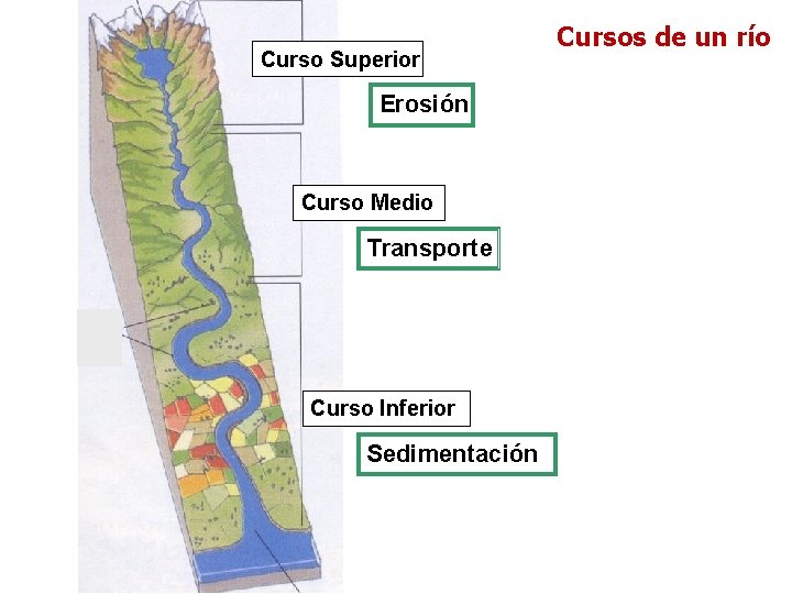 Curso Superior Erosión Curso Medio Transporte Curso Inferior Sedimentación Cursos de un río 