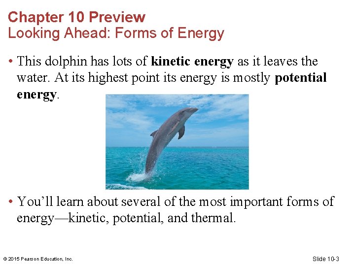 Chapter 10 Preview Looking Ahead: Forms of Energy • This dolphin has lots of