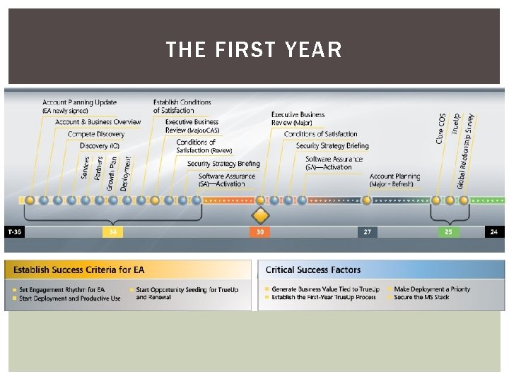 THE FIRST YEAR 