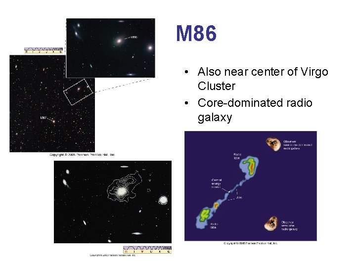 M 86 • Also near center of Virgo Cluster • Core-dominated radio galaxy 