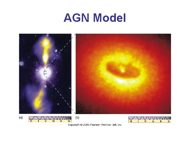 AGN Model 