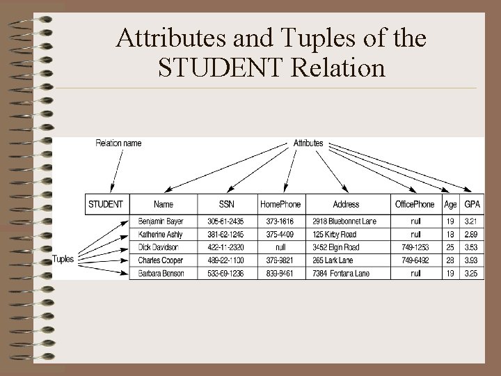 Attributes and Tuples of the STUDENT Relation 