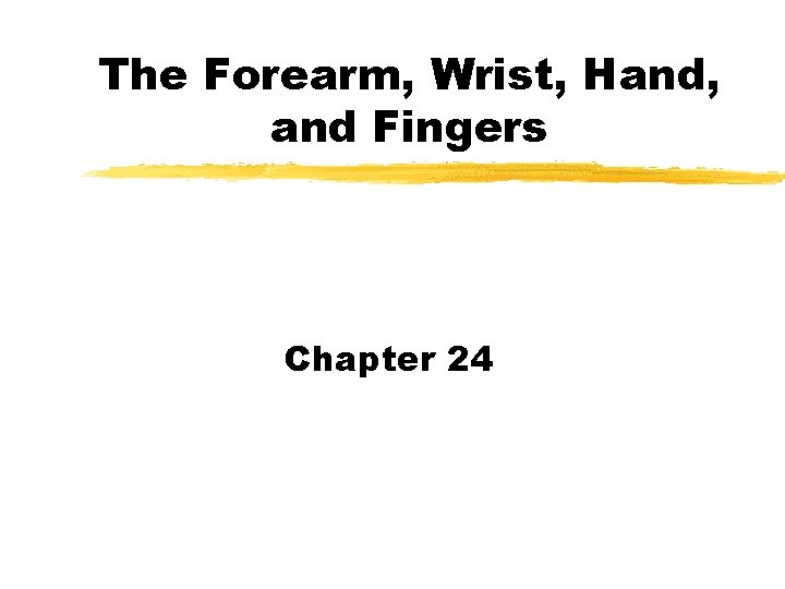 The Forearm, Wrist, Hand, and Fingers Chapter 24 The Forearm, Wrist, Hand, and Fingers Chapter 24