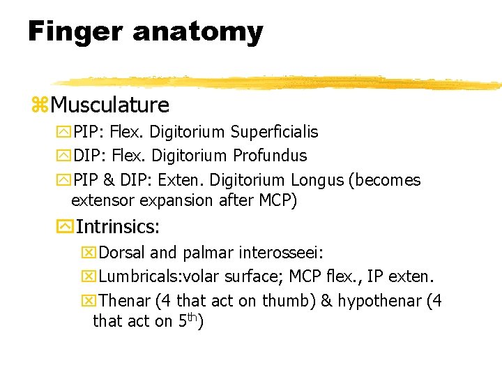 Finger anatomy z. Musculature y. PIP: Flex. Digitorium Superficialis y. DIP: Flex. Digitorium Profundus Finger anatomy z. Musculature y. PIP: Flex. Digitorium Superficialis y. DIP: Flex. Digitorium Profundus