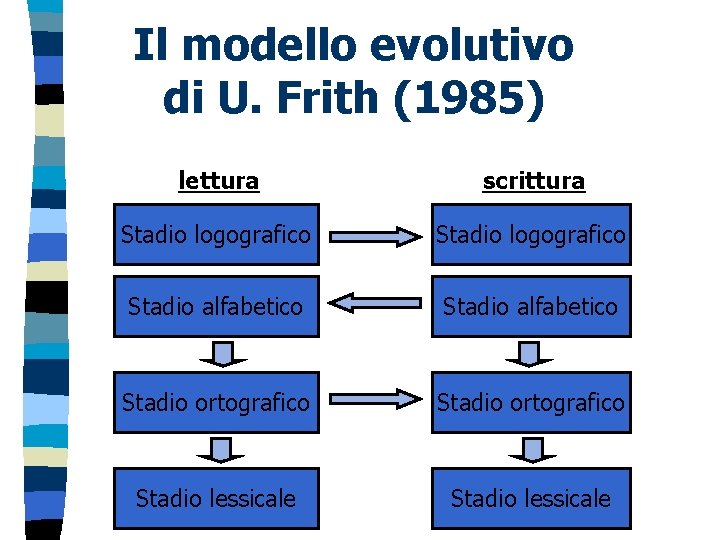 Il modello evolutivo di U. Frith (1985) lettura scrittura Stadio logografico Stadio alfabetico Stadio