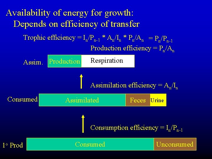 Availability of energy for growth: Depends on efficiency of transfer Trophic efficiency = In/Pn-1