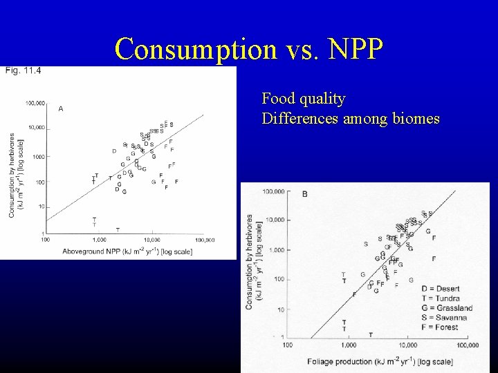 Consumption vs. NPP Food quality Differences among biomes 