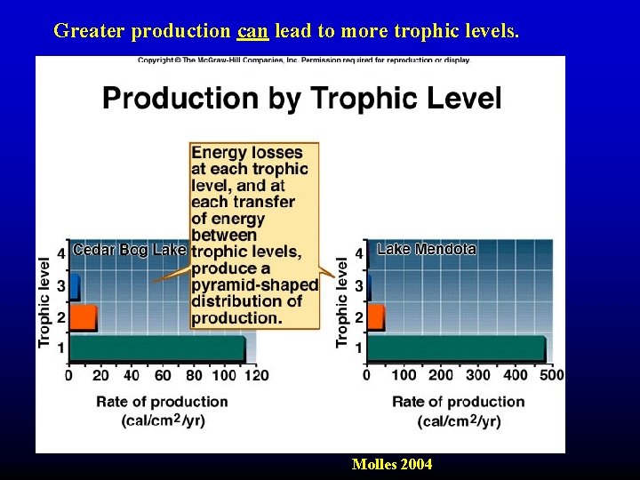 Greater production can lead to more trophic levels. Molles 2004 