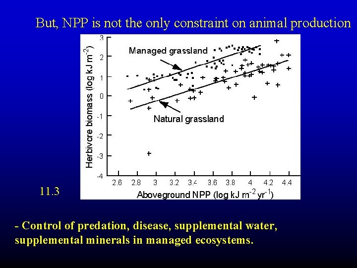 But, NPP is not the only constraint on animal production 11. 3 - Control