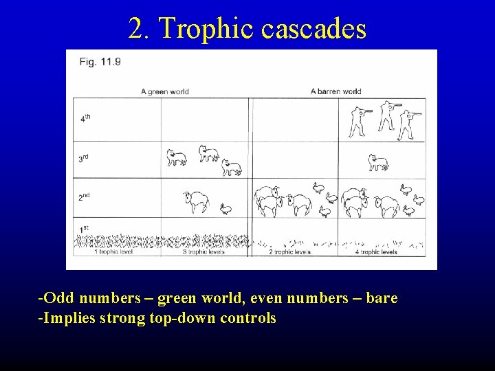 2. Trophic cascades -Odd numbers – green world, even numbers – bare -Implies strong