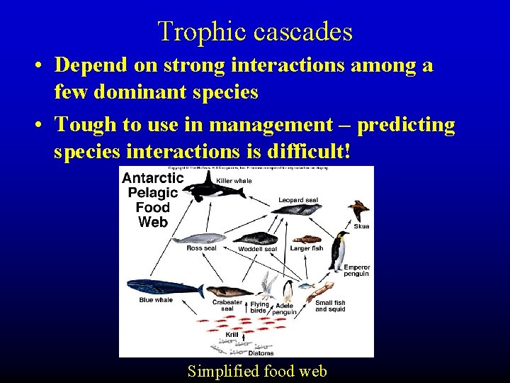 Trophic cascades • Depend on strong interactions among a few dominant species • Tough