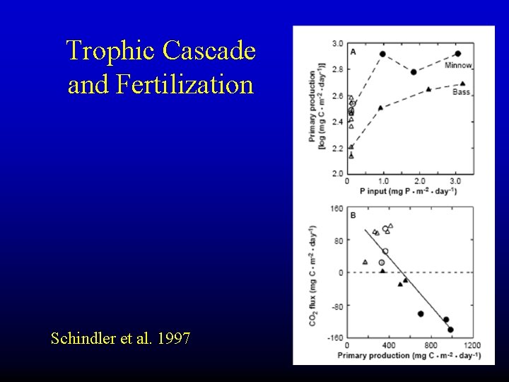 Trophic Cascade and Fertilization Schindler et al. 1997 