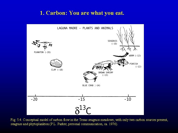 1. Carbon: You are what you eat. Fig. 5. 4. Conceptual model of carbon