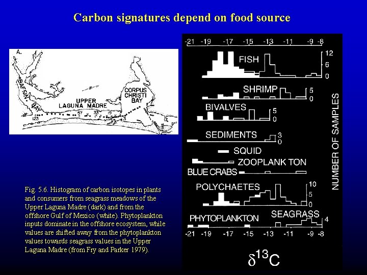 Carbon signatures depend on food source Fig. 5. 6. Histogram of carbon isotopes in