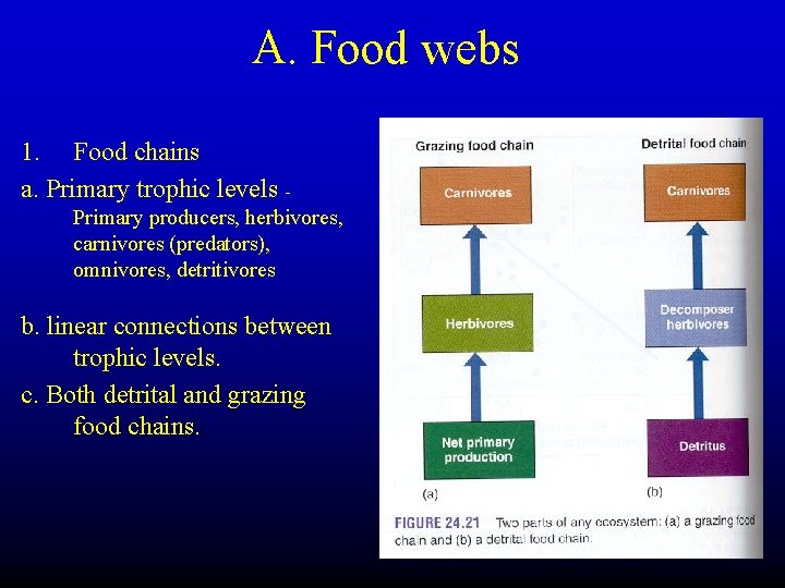 A. Food webs 1. Food chains a. Primary trophic levels Primary producers, herbivores, carnivores