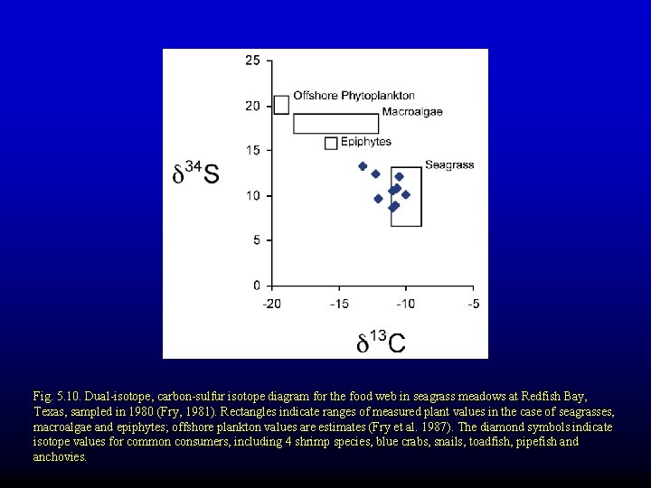 Fig. 5. 10. Dual-isotope, carbon-sulfur isotope diagram for the food web in seagrass meadows