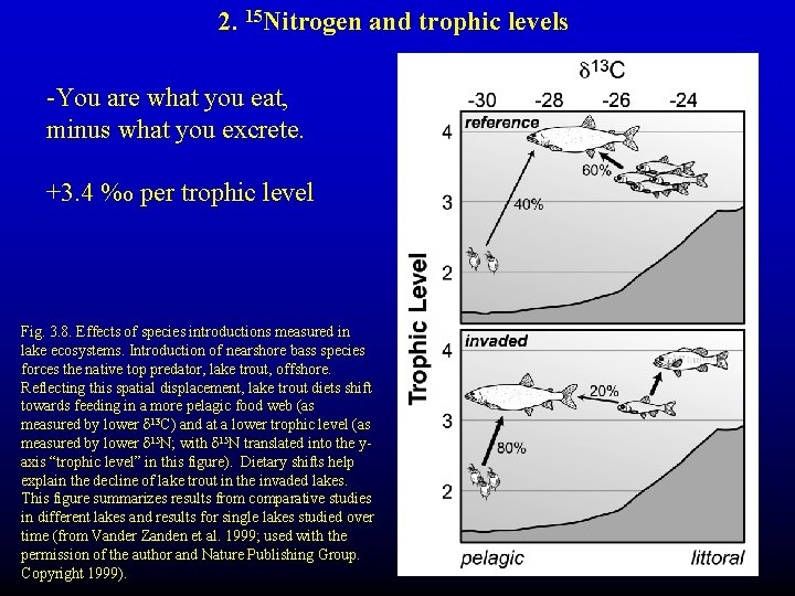 2. 15 Nitrogen and trophic levels -You are what you eat, minus what you