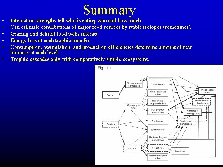  • • • Summary Interaction strengths tell who is eating who and how