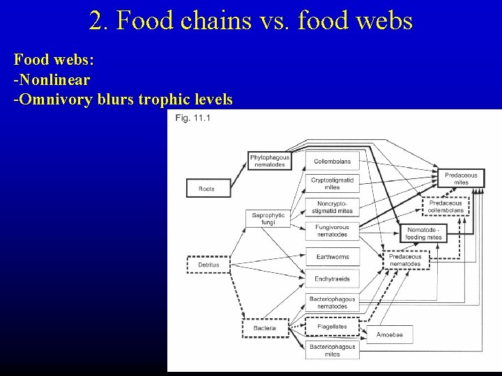 2. Food chains vs. food webs Food webs: -Nonlinear -Omnivory blurs trophic levels 