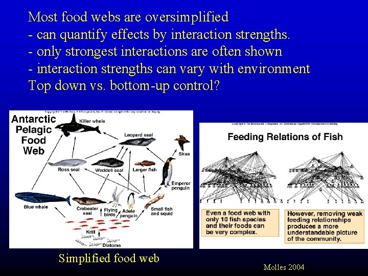 Most food webs are oversimplified - can quantify effects by interaction strengths. - only