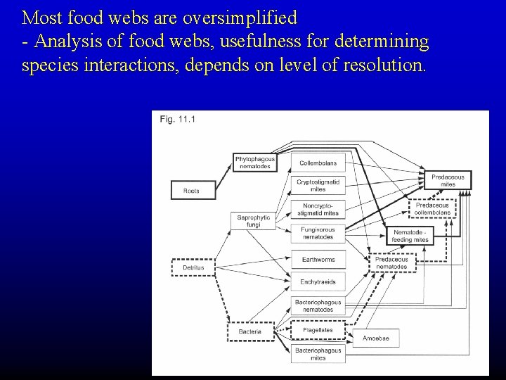 Most food webs are oversimplified - Analysis of food webs, usefulness for determining species