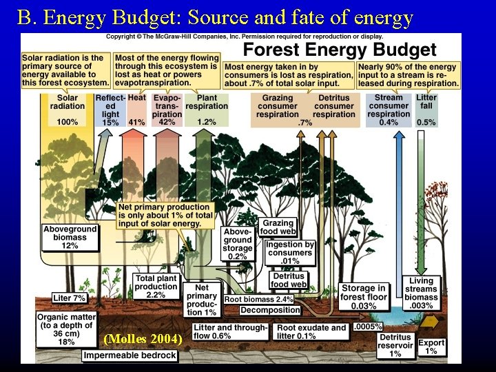 B. Energy Budget: Source and fate of energy (Molles 2004) 