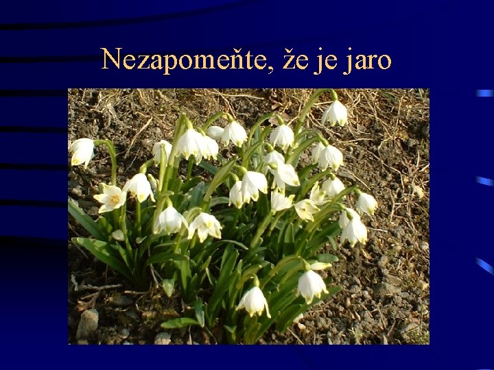 Nezapomeňte, že je jaro 