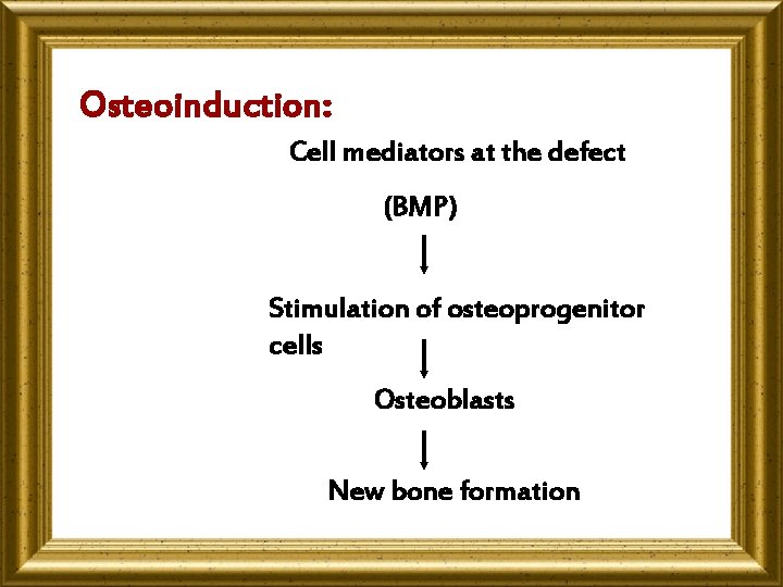 Osteoinduction: Cell mediators at the defect (BMP) Stimulation of osteoprogenitor cells Osteoblasts New bone