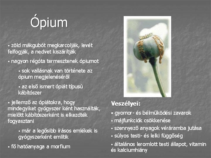 Ópium zöld mákgubót megkarcolják, levét felfogják, a nedvet kiszárítják § § nagyon régóta termesztenek