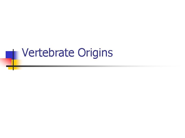Vertebrate Origins 
