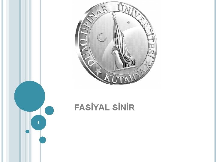 FASİYAL SİNİR 1 