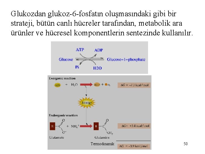 Glukozdan glukoz-6 -fosfatın oluşmasındaki gibi bir strateji, bütün canlı hücreler tarafından, metabolik ara ürünler Glukozdan glukoz-6 -fosfatın oluşmasındaki gibi bir strateji, bütün canlı hücreler tarafından, metabolik ara ürünler